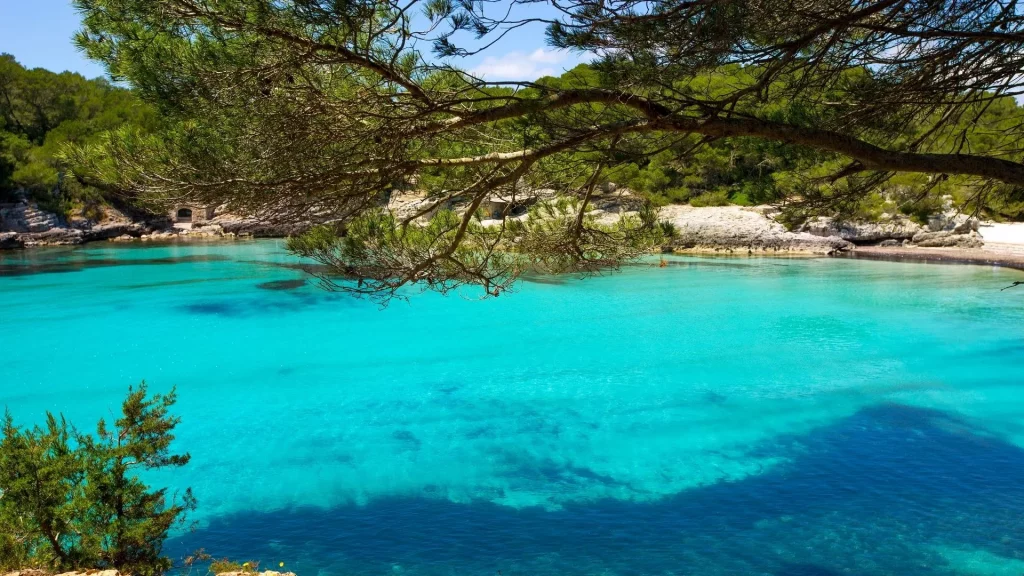 Visite Calanque bateau